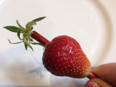 Hulling Strawberries With A Straw